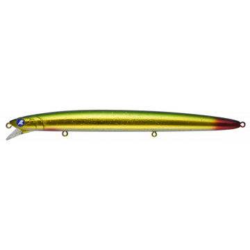#12 Gold Mackerel
