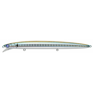 #16 Boshu Horse Mackerel