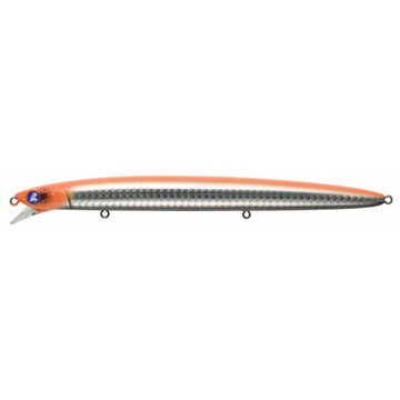 #27 Extreme Carrot