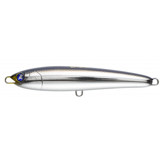 #08 Special Saury