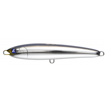 #08 Special Saury