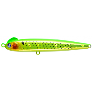 #45 Kiwi