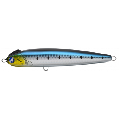 #27 Sardine