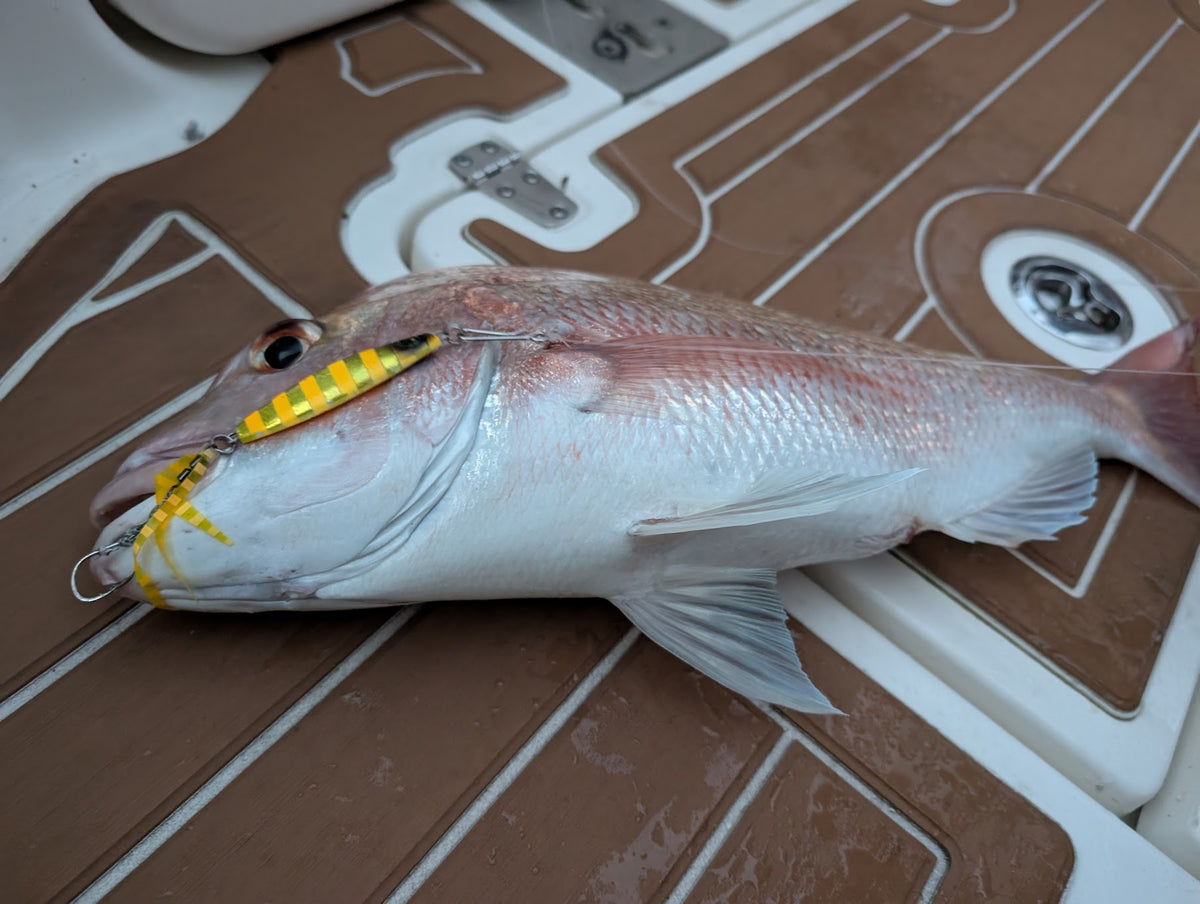 Snapper caught on a Hayabusa Jack Eye Kunekune slow pitch jig