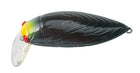 #4 Aurora Black Chart