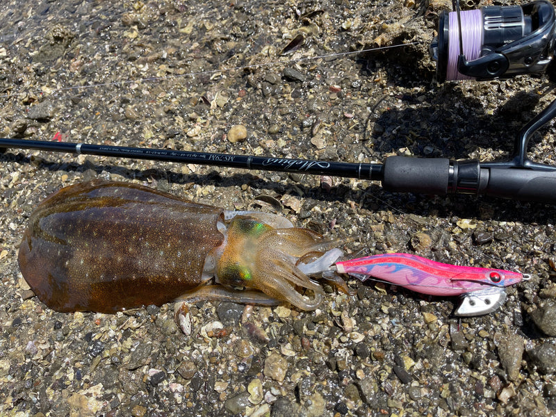 Yamaga Blanks - Mebius 79M Squid Rod
