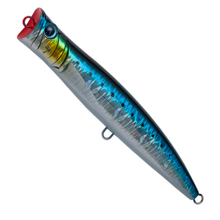 #MG-10 Sardine