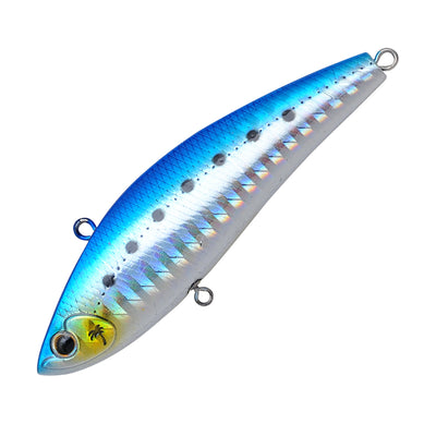 #H-10 Sardine