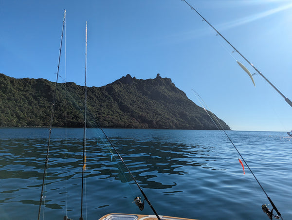 Shimano reel guide