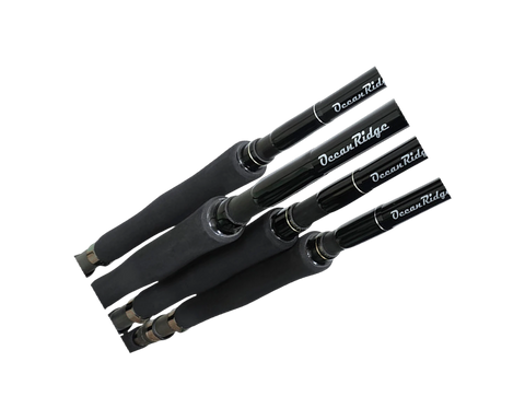 Ripple Fisher oceanridge rod
