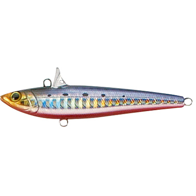 #12 SH Sardine Red Belly