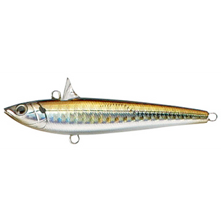 #13 SH Horse Mackerel