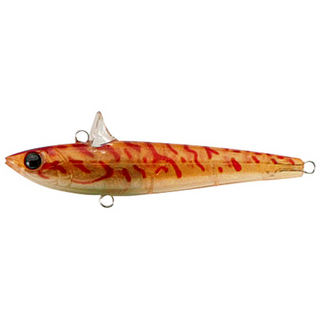 #16 Red Shrimp