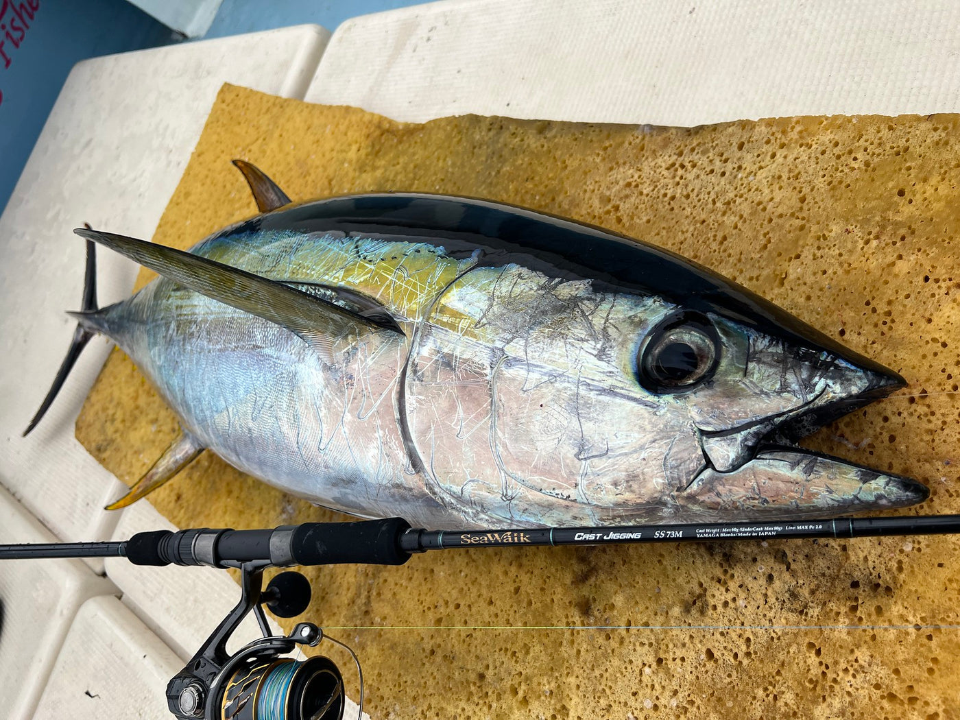 Yamaga Blanks - SeaWalk Cast Jigging Rod SS73M