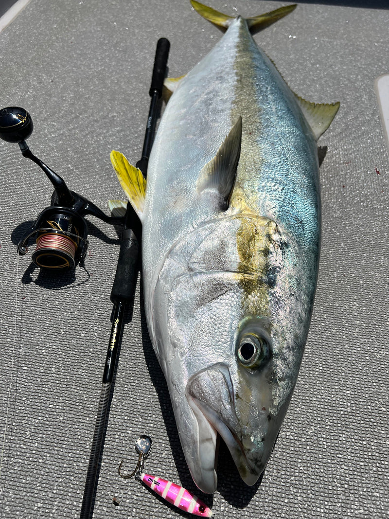 Yamaga Blanks - SeaWalk Cast Jigging Rod SS73M