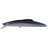 #1 Pacific Saury