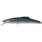 #6 Sardine Red Belly