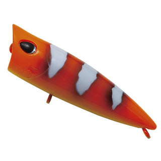 #SL-169 Clownfish