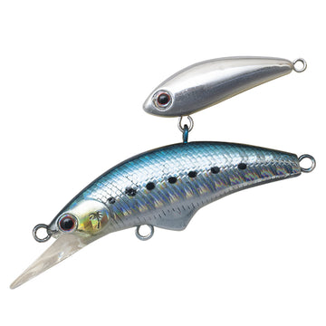 #H-10 Sardine
