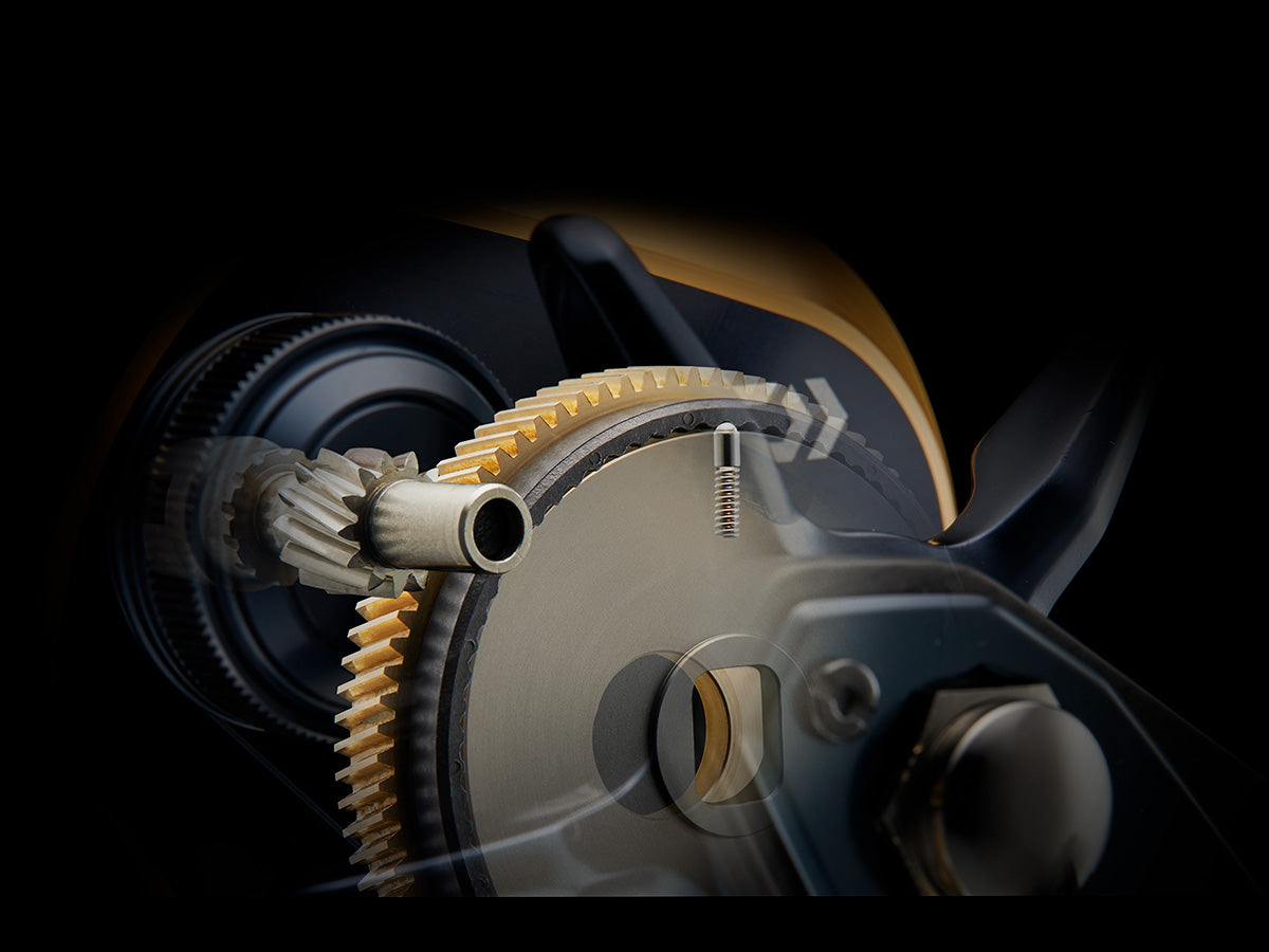 Daiwa - 25 SALTIGA 10HL