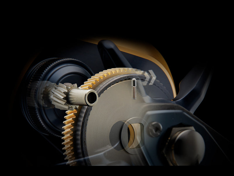 Daiwa - 25 SALTIGA 35