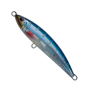 #T-41 Silver-Stripe Round Herring