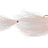 White Bait