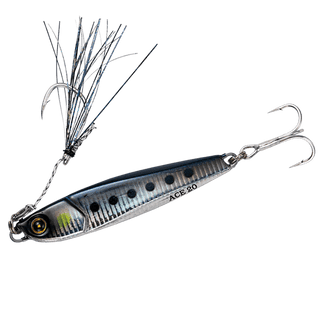 #1 Lively Sardine