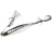 #1 Lively Sardine