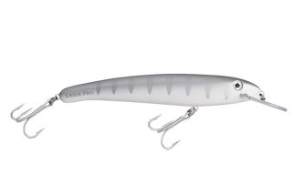 Silver Shadow