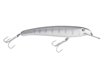 Silver Shadow