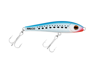 Pilchard