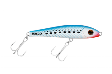 Pilchard