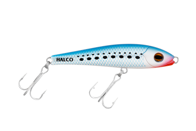 Pilchard