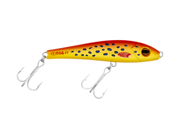 Coral Trout