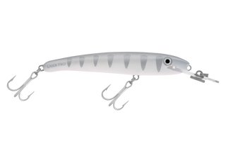Silver Shadow