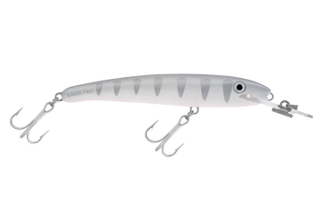 Silver Shadow