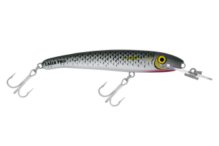 Mullet