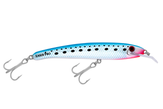 Pilchard