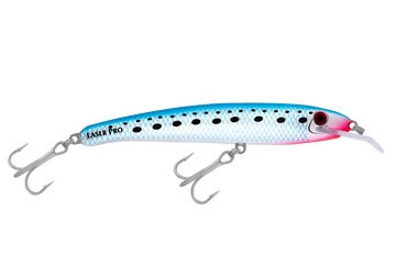 Pilchard