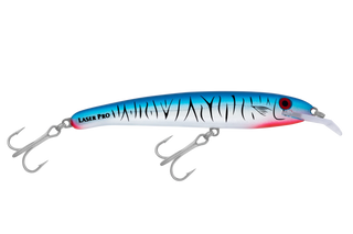 Baitfish