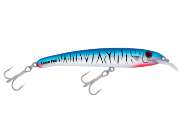 Baitfish