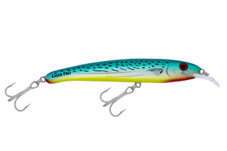 Bonito