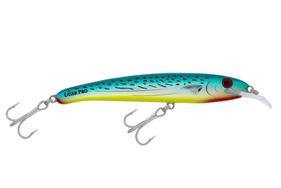 Bonito