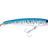 Baitfish