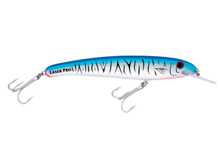 Baitfish