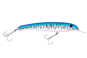 Baitfish