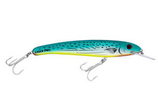 Bonito