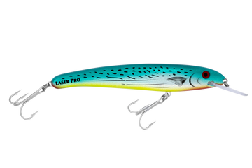Bonito
