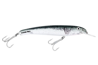 Great White